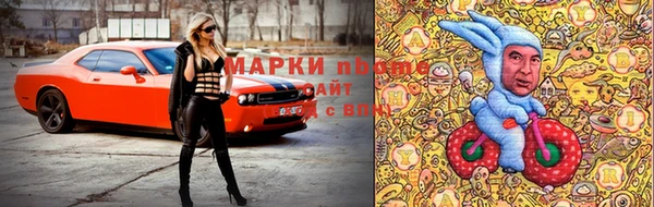 Альфа ПВП Ладушкин