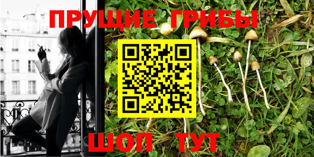 Галлюциногенные грибы Psilocybine cubensis  Вход с VPN  Майкоп 